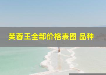 芙蓉王全部价格表图 品种